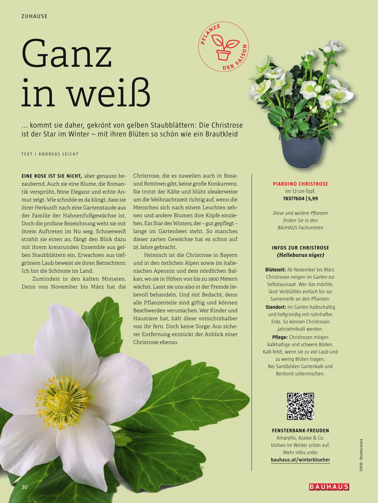 Prospekt Bauhaus 01.01.2023 - 31.03.2023