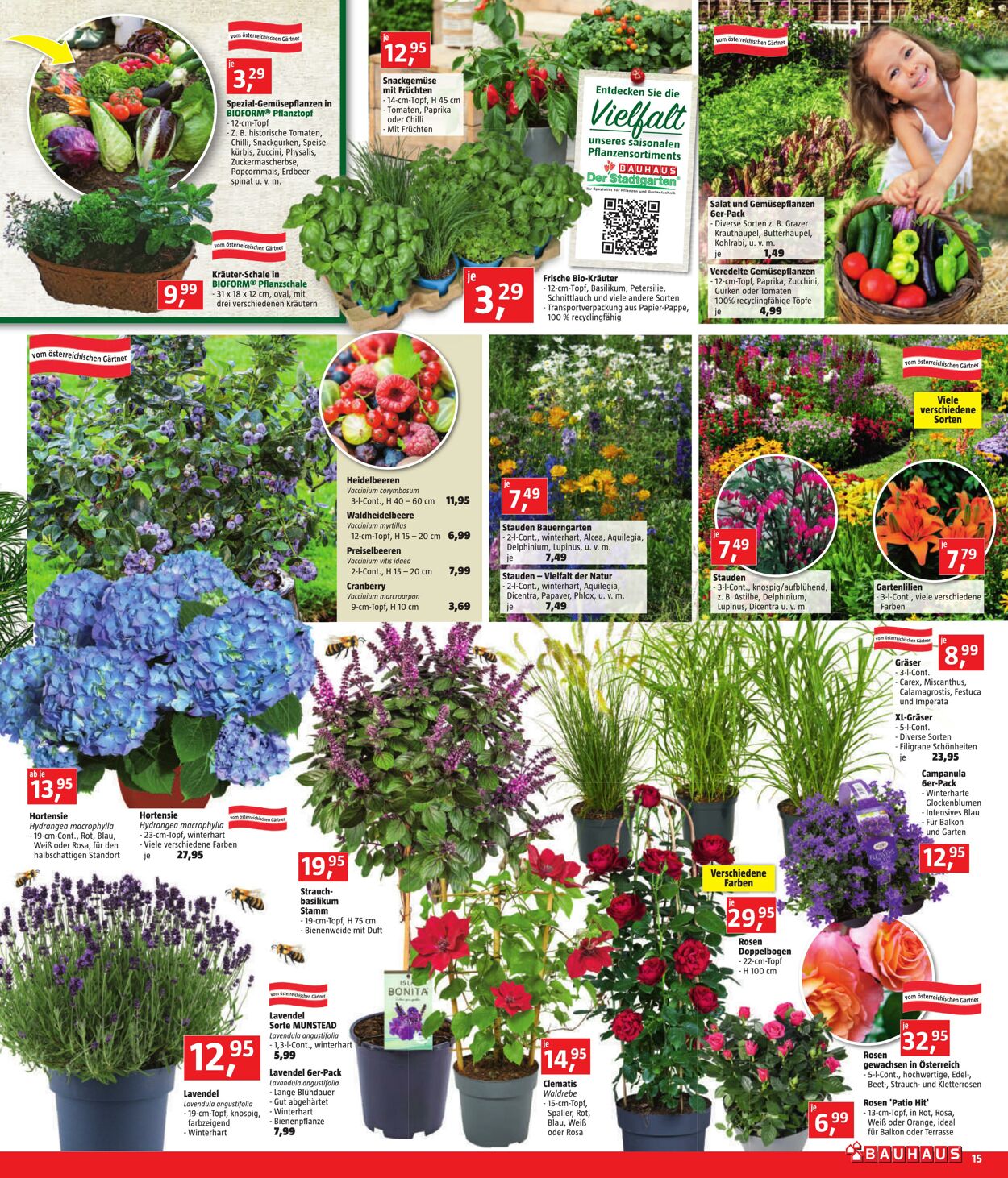 Prospekt Bauhaus 04.05.2023 - 30.05.2023