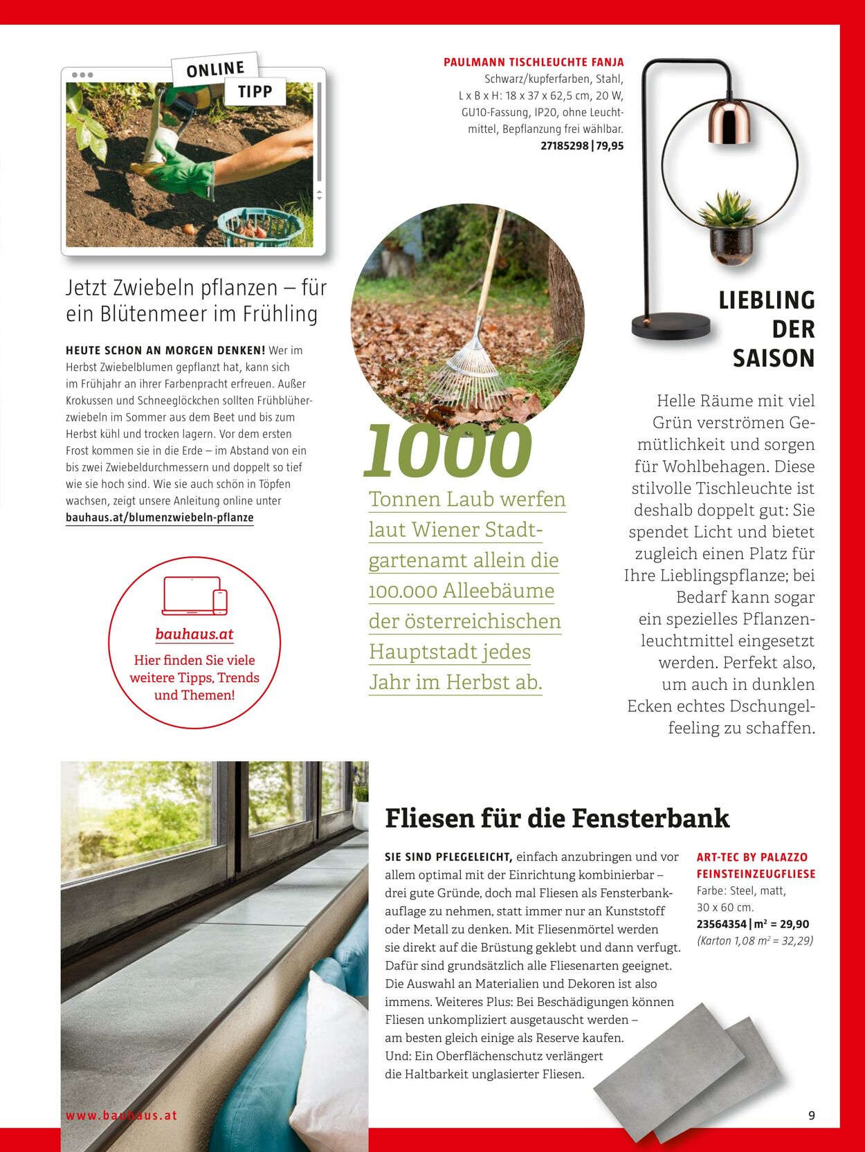 Prospekt Bauhaus 24.10.2022 - 31.12.2022