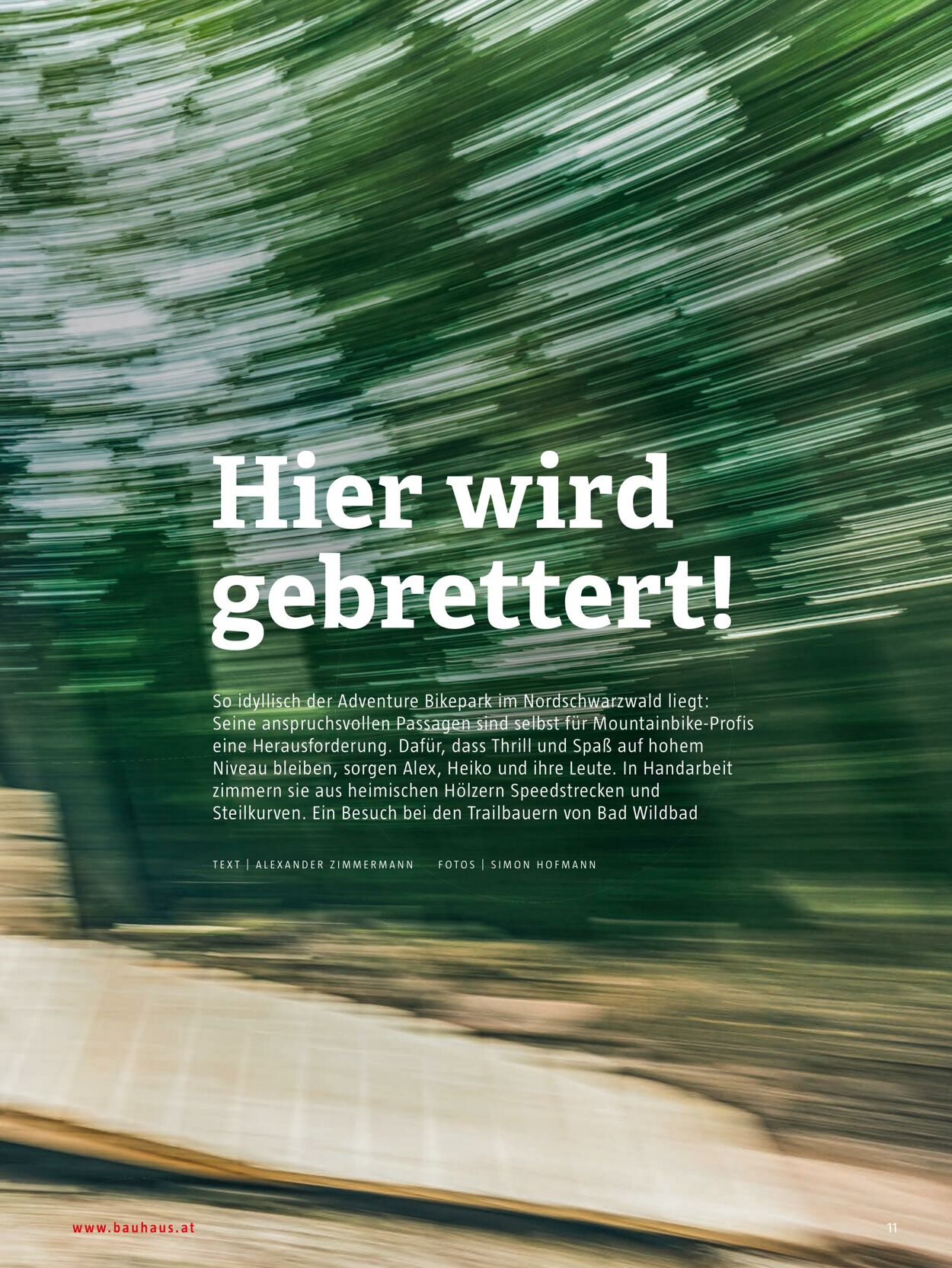 Prospekt Bauhaus 24.10.2022 - 31.12.2022