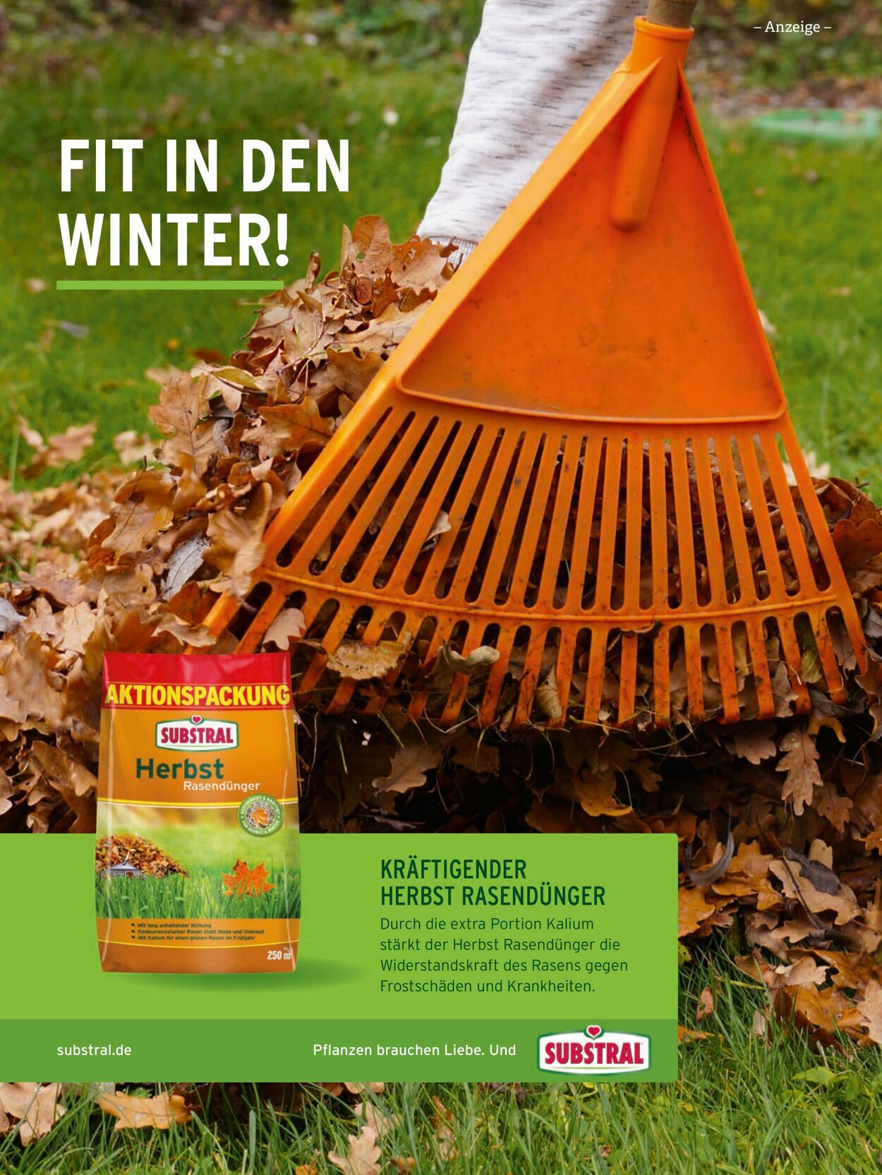 Prospekt Bauhaus 24.10.2022 - 31.12.2022