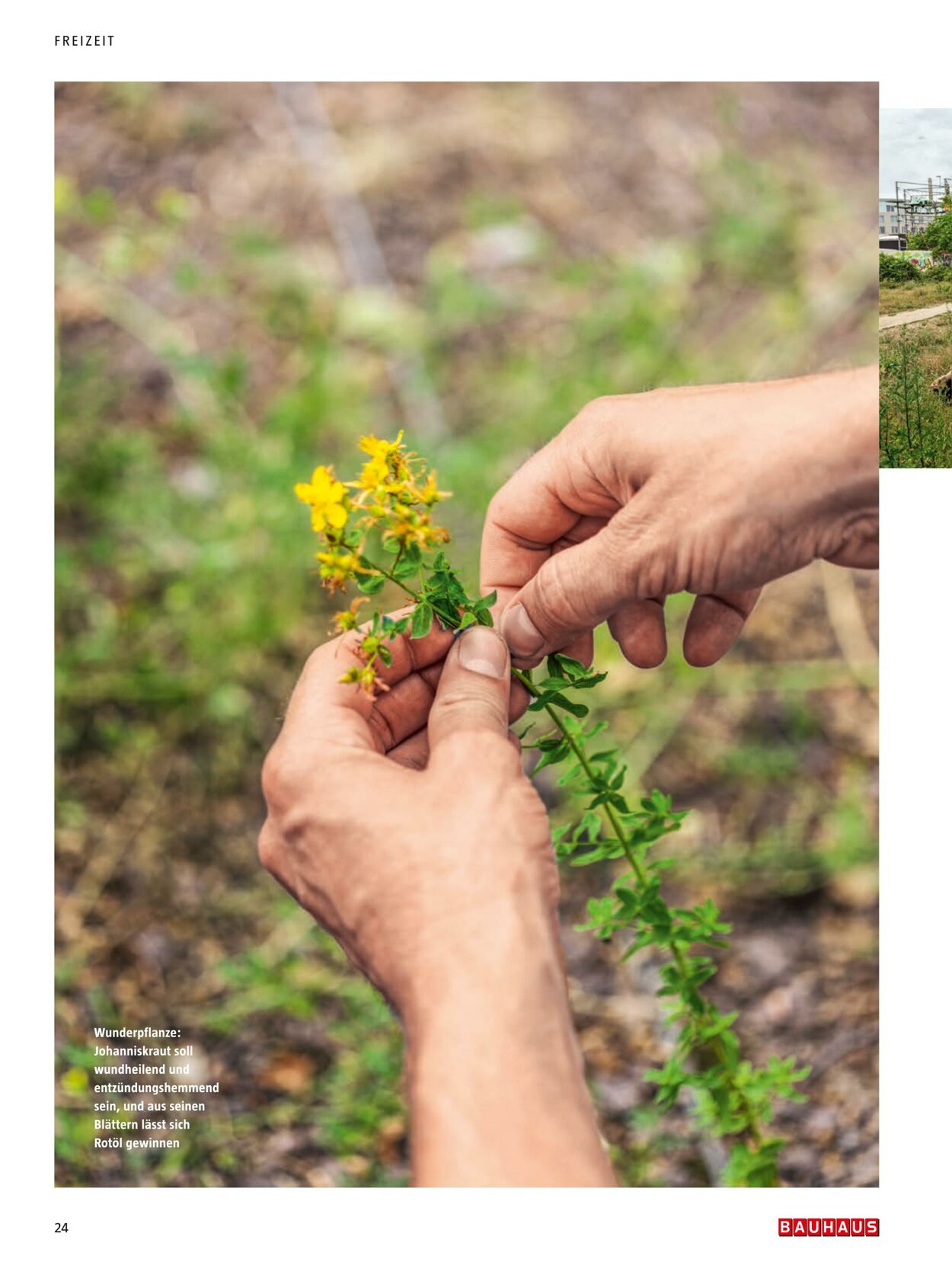 Prospekt Bauhaus 24.10.2022 - 31.12.2022