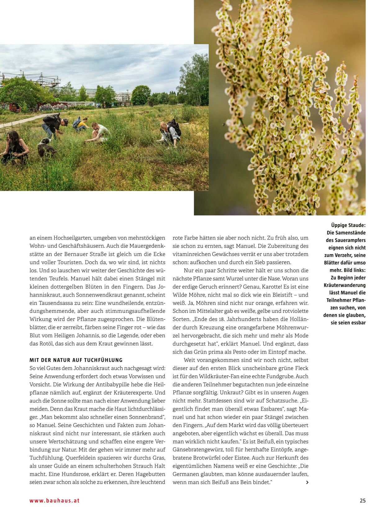 Prospekt Bauhaus 24.10.2022 - 31.12.2022