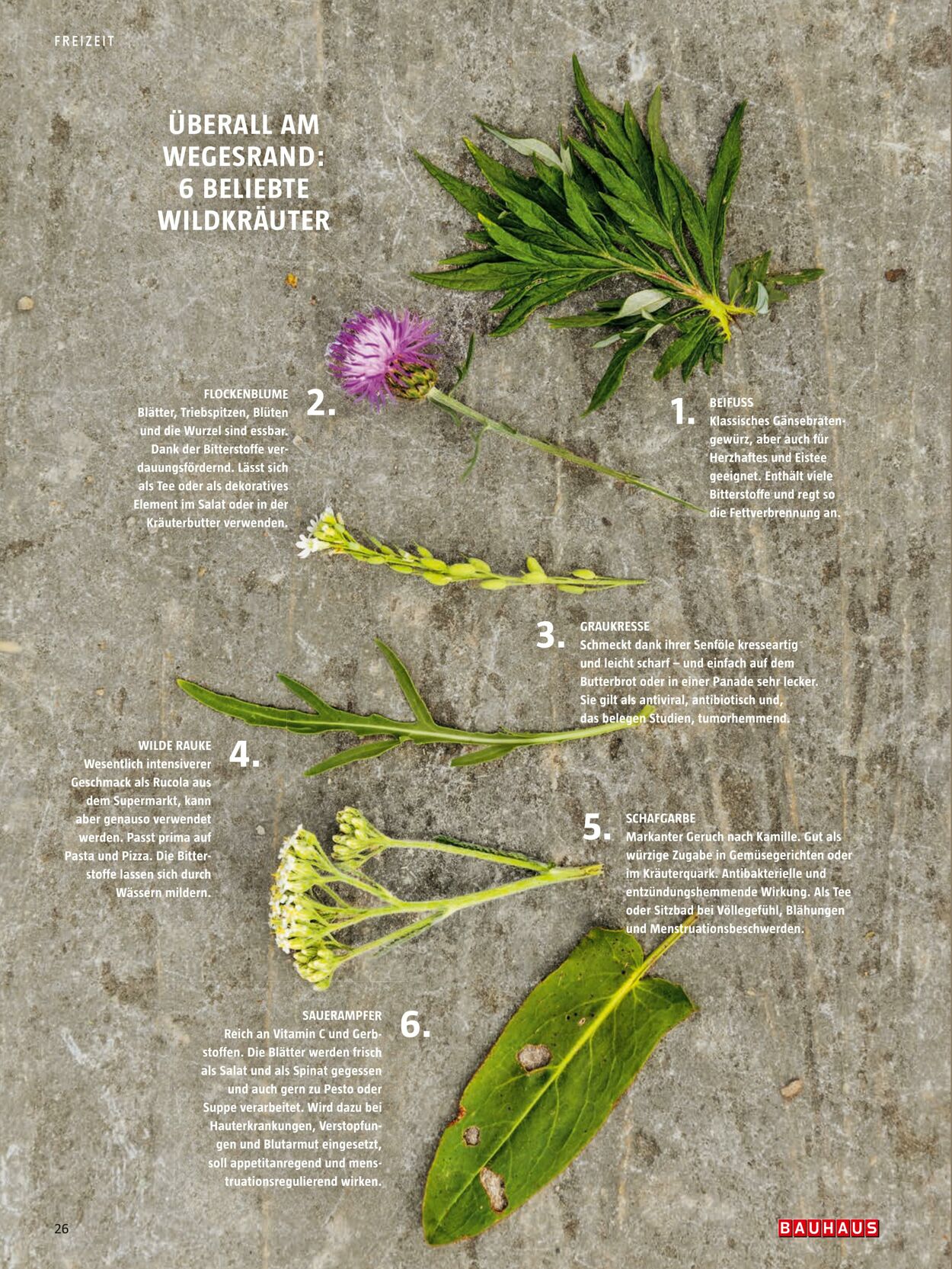 Prospekt Bauhaus 24.10.2022 - 31.12.2022