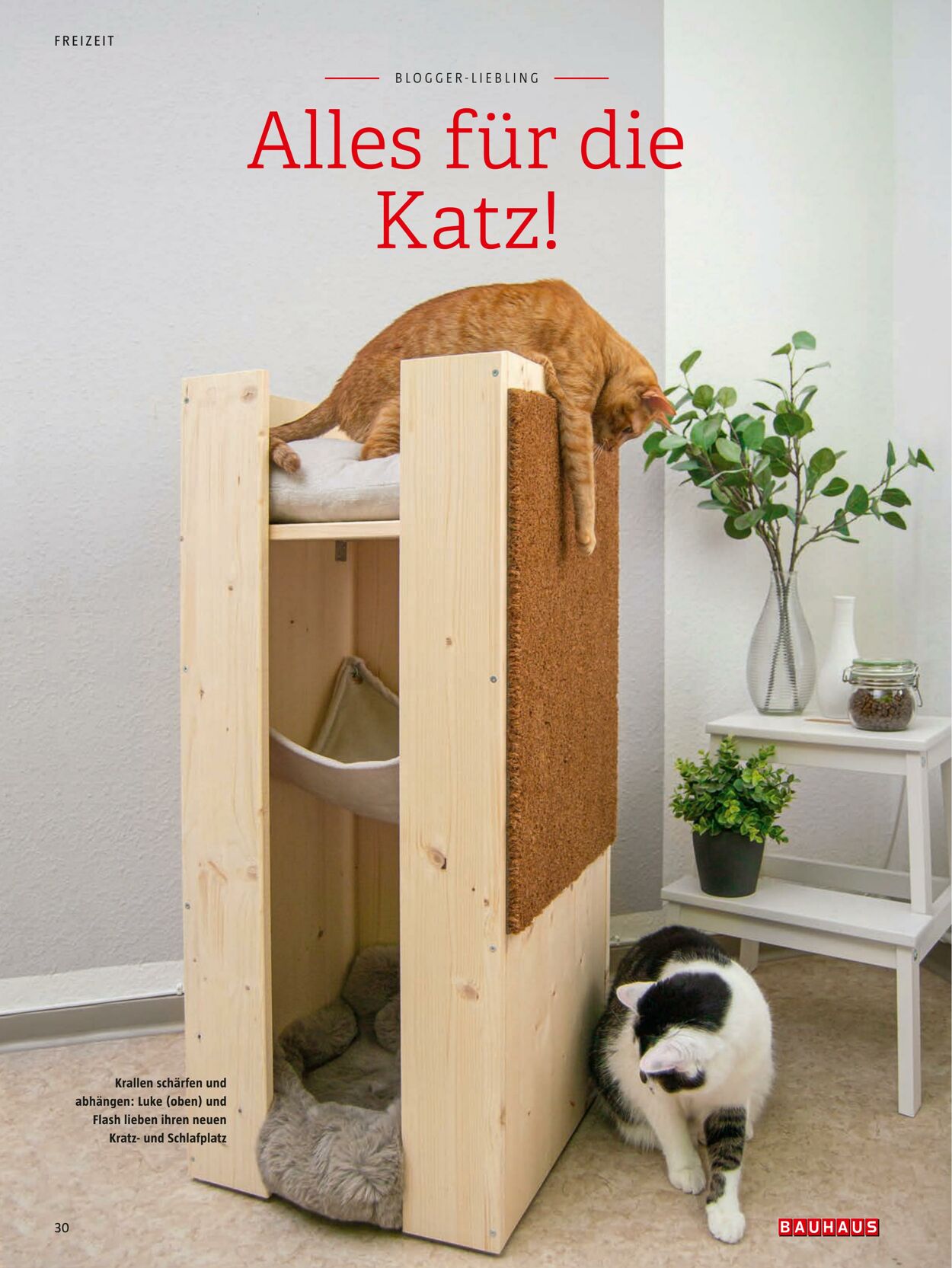 Prospekt Bauhaus 24.10.2022 - 31.12.2022