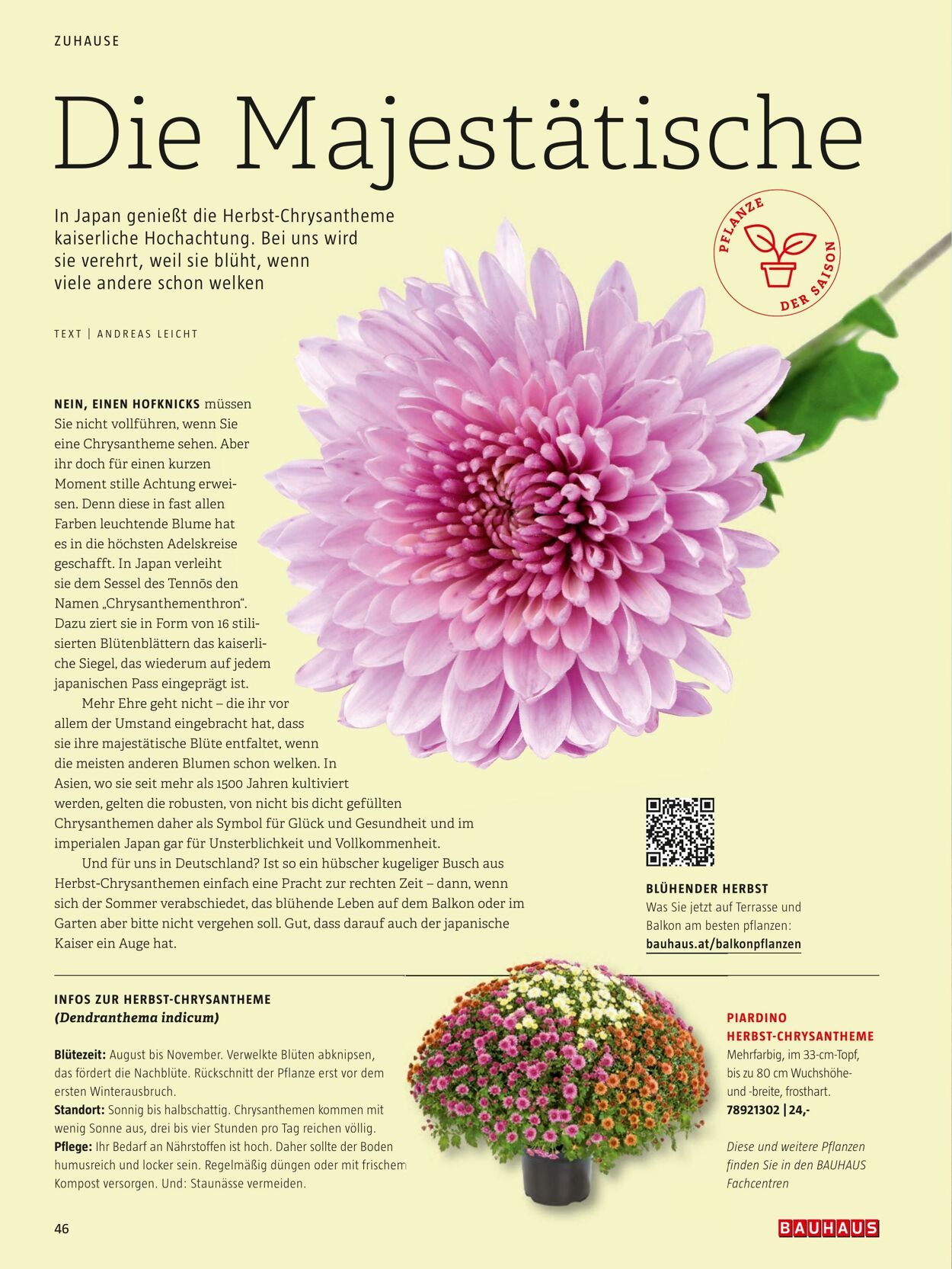 Prospekt Bauhaus 24.10.2022 - 31.12.2022