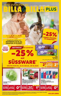 Prospekt BILLA PLUS 16.11.2023 - 22.11.2023