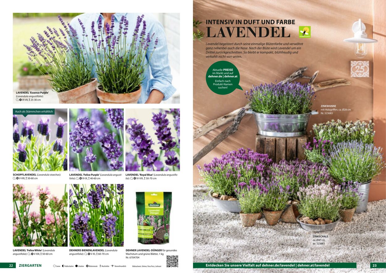 Prospekt Dehner 23.03.2022 - 31.12.2022