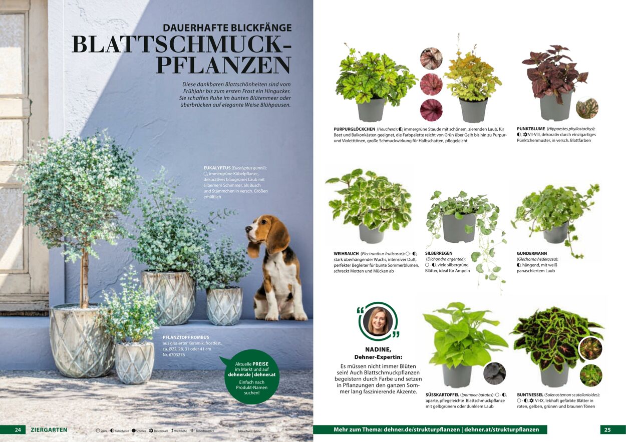 Prospekt Dehner 23.03.2022 - 31.12.2022