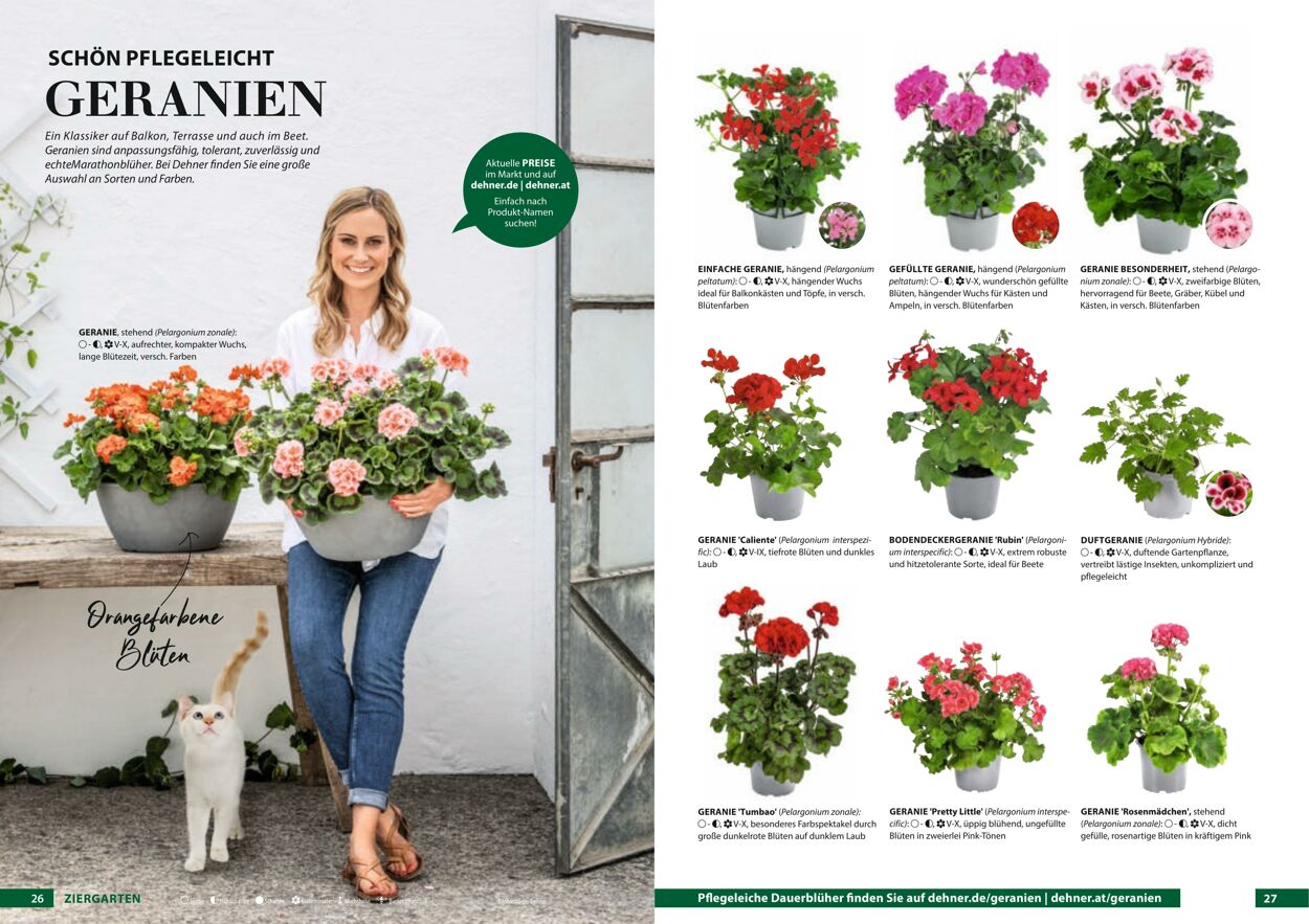 Prospekt Dehner 23.03.2022 - 31.12.2022