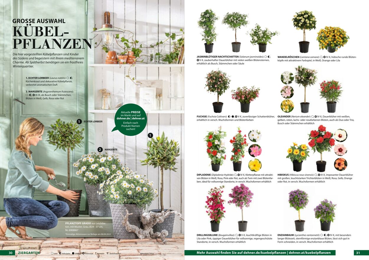 Prospekt Dehner 23.03.2022 - 31.12.2022