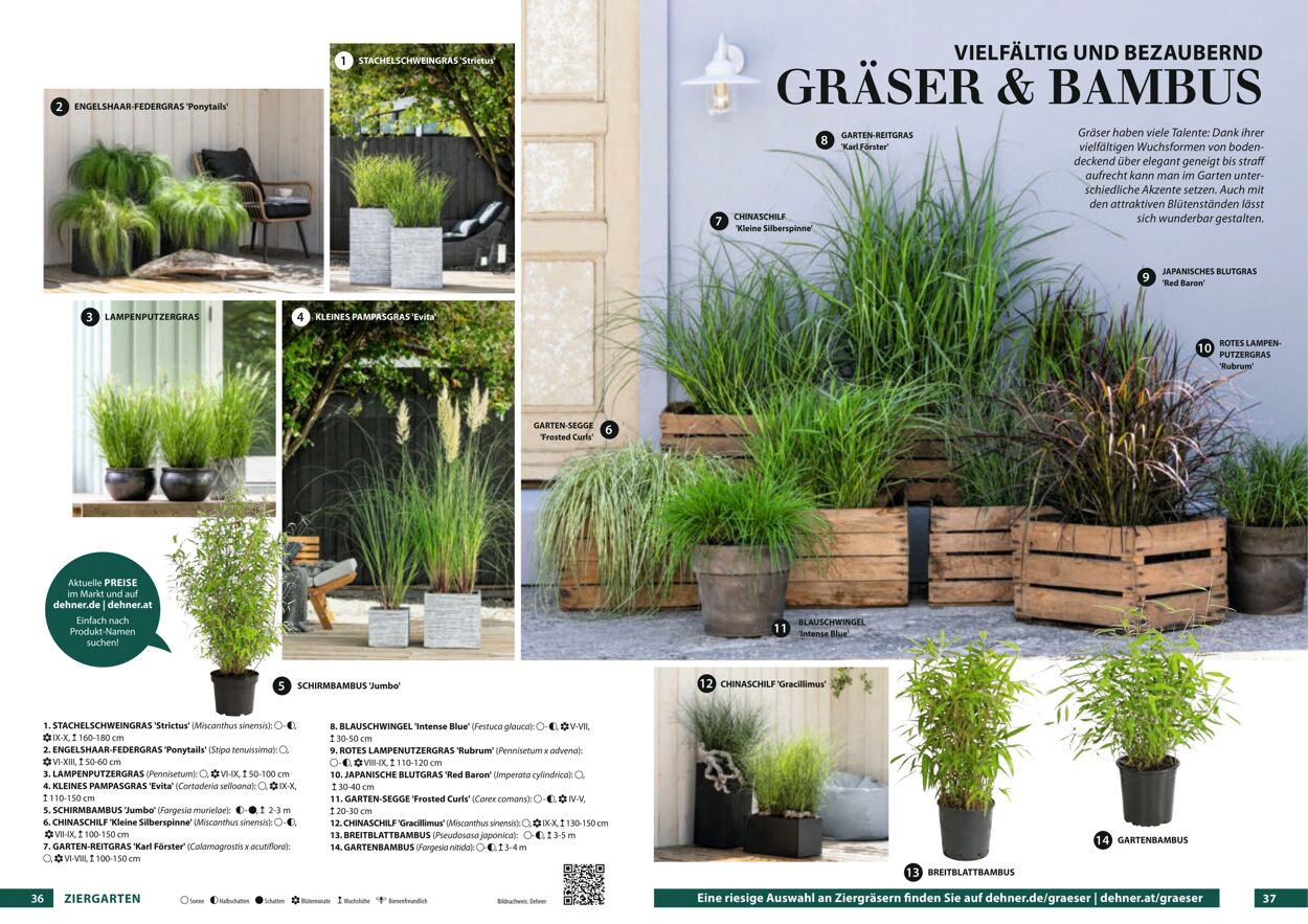 Prospekt Dehner 23.03.2022 - 31.12.2022