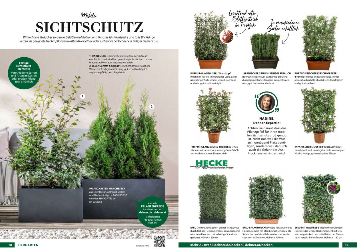 Prospekt Dehner 23.03.2022 - 31.12.2022