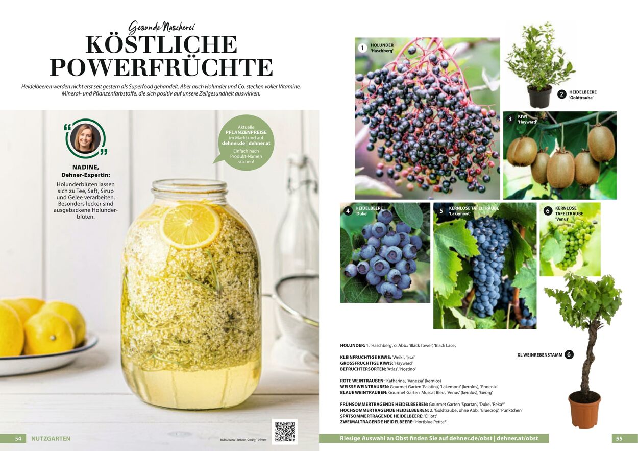 Prospekt Dehner 23.03.2022 - 31.12.2022