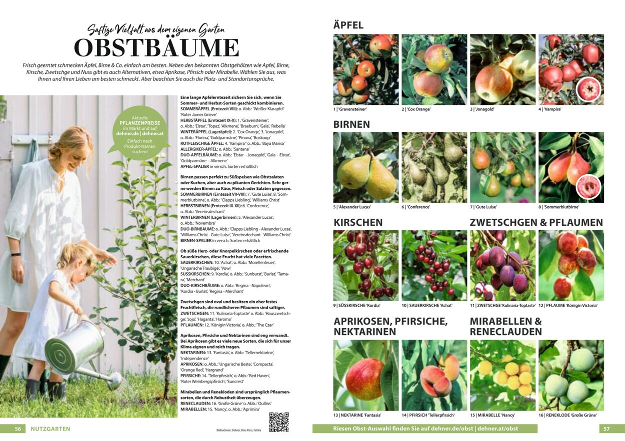 Prospekt Dehner 23.03.2022 - 31.12.2022