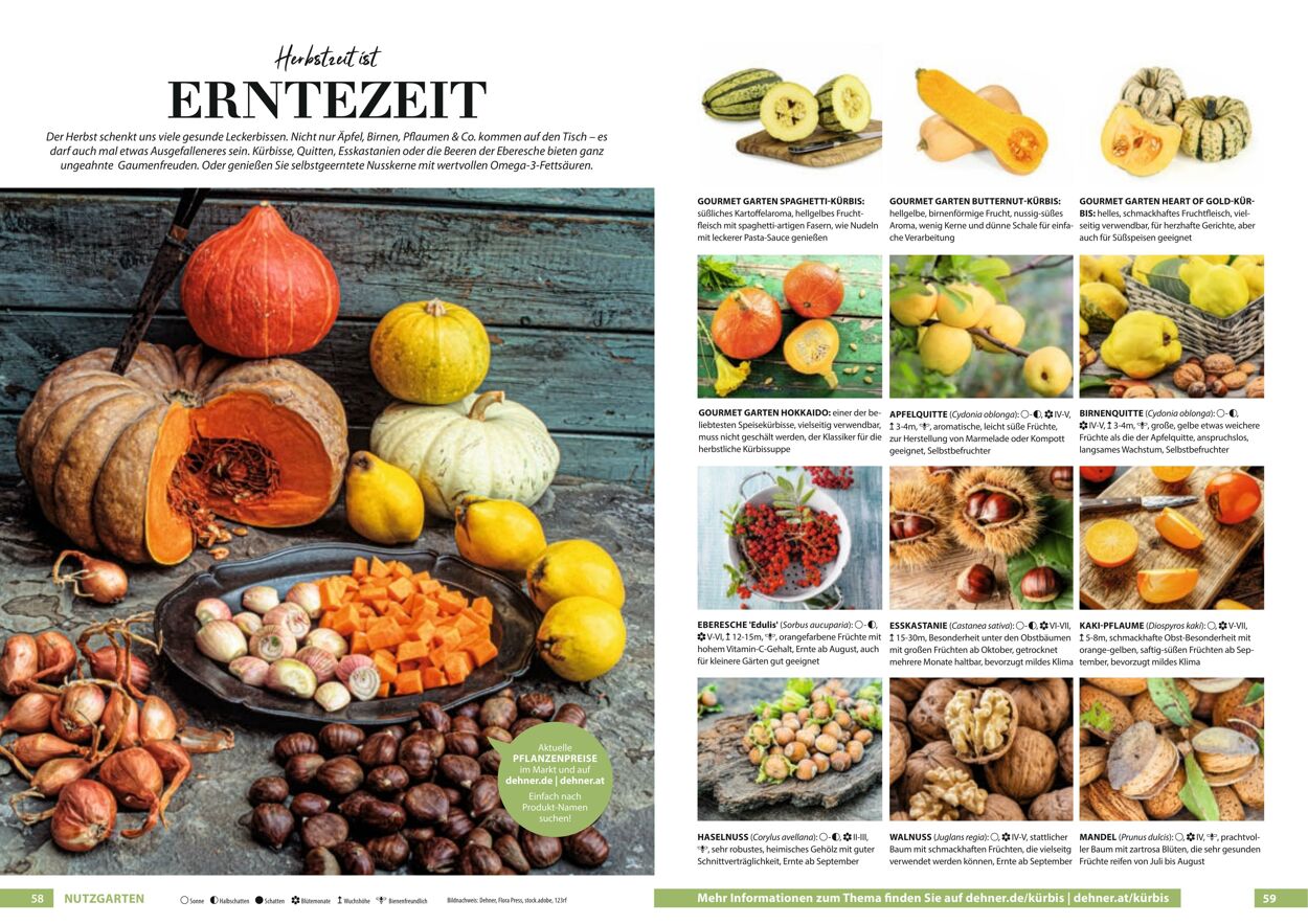 Prospekt Dehner 23.03.2022 - 31.12.2022