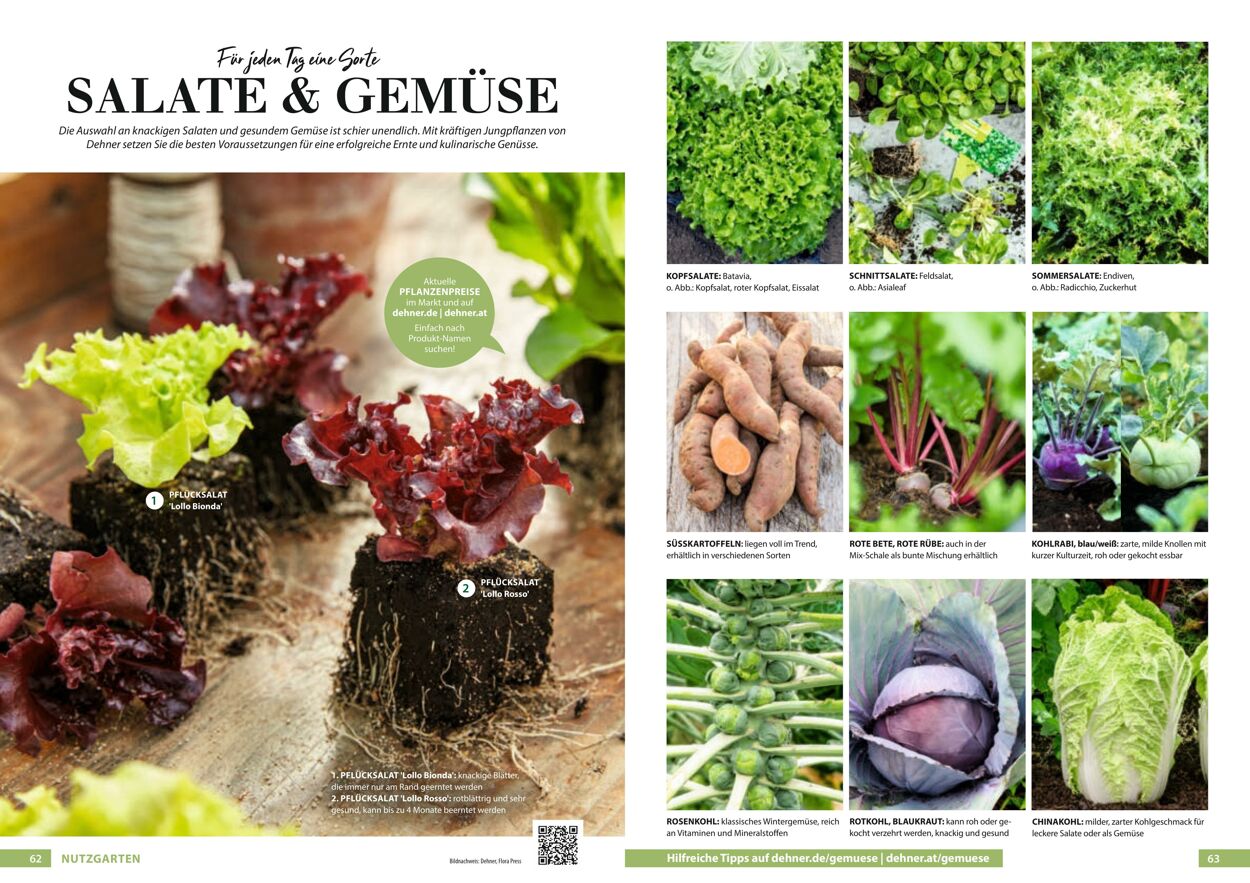 Prospekt Dehner 23.03.2022 - 31.12.2022