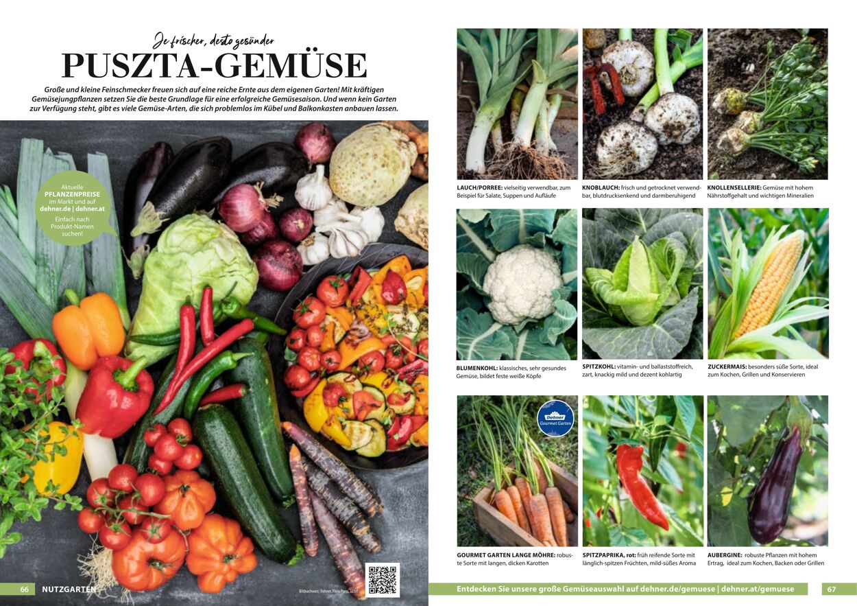 Prospekt Dehner 23.03.2022 - 31.12.2022