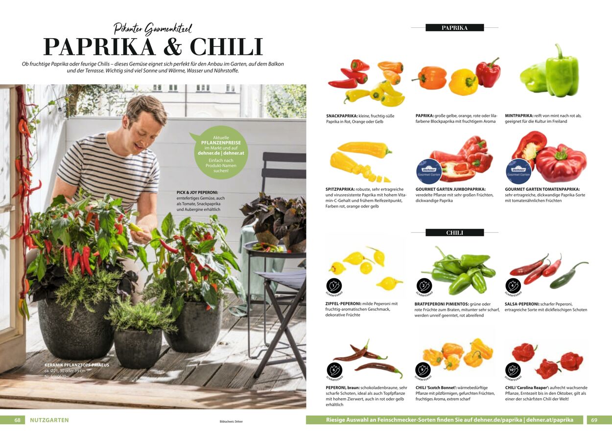 Prospekt Dehner 23.03.2022 - 31.12.2022