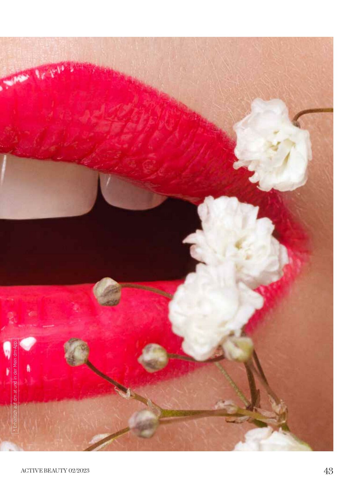 Prospekt DM Drogeriemarkt 03.02.2023 - 28.02.2023