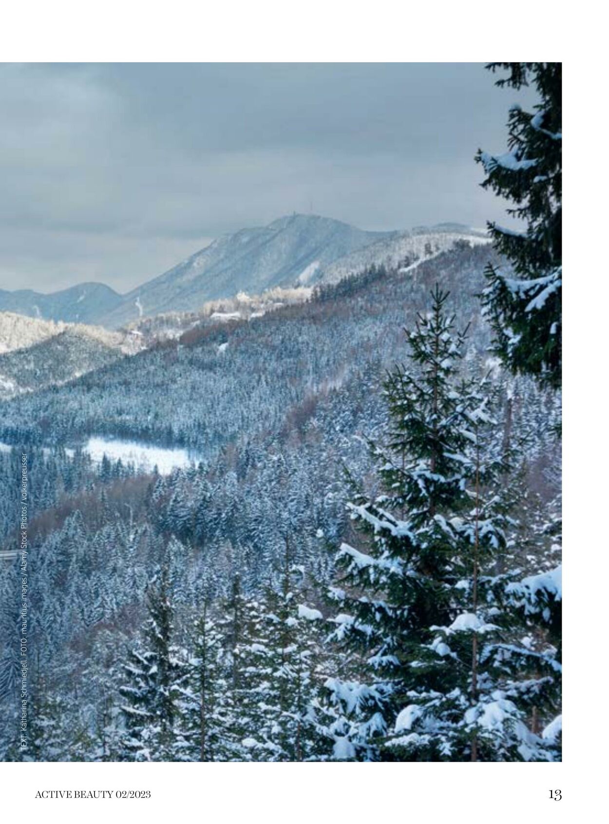 Prospekt DM Drogeriemarkt 03.02.2023 - 28.02.2023