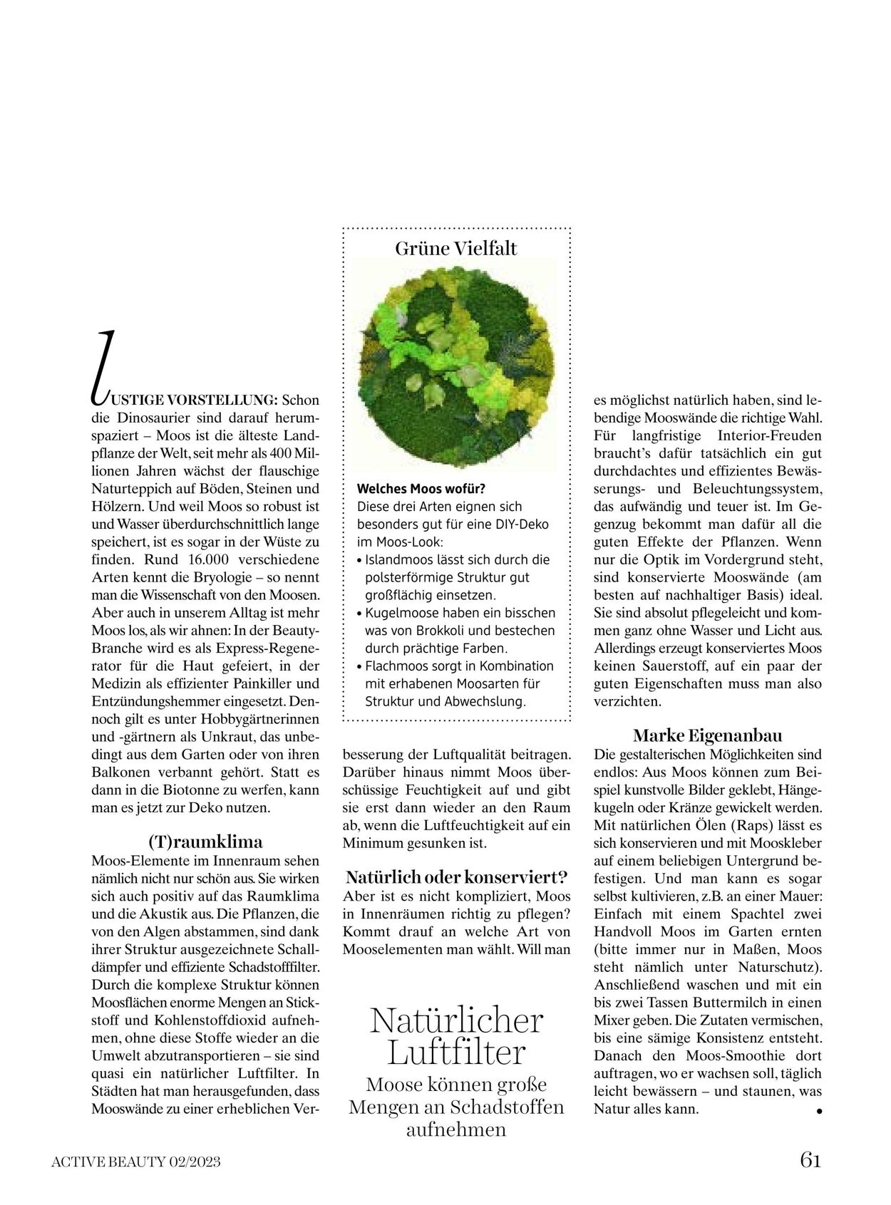 Prospekt DM Drogeriemarkt 03.02.2023 - 28.02.2023