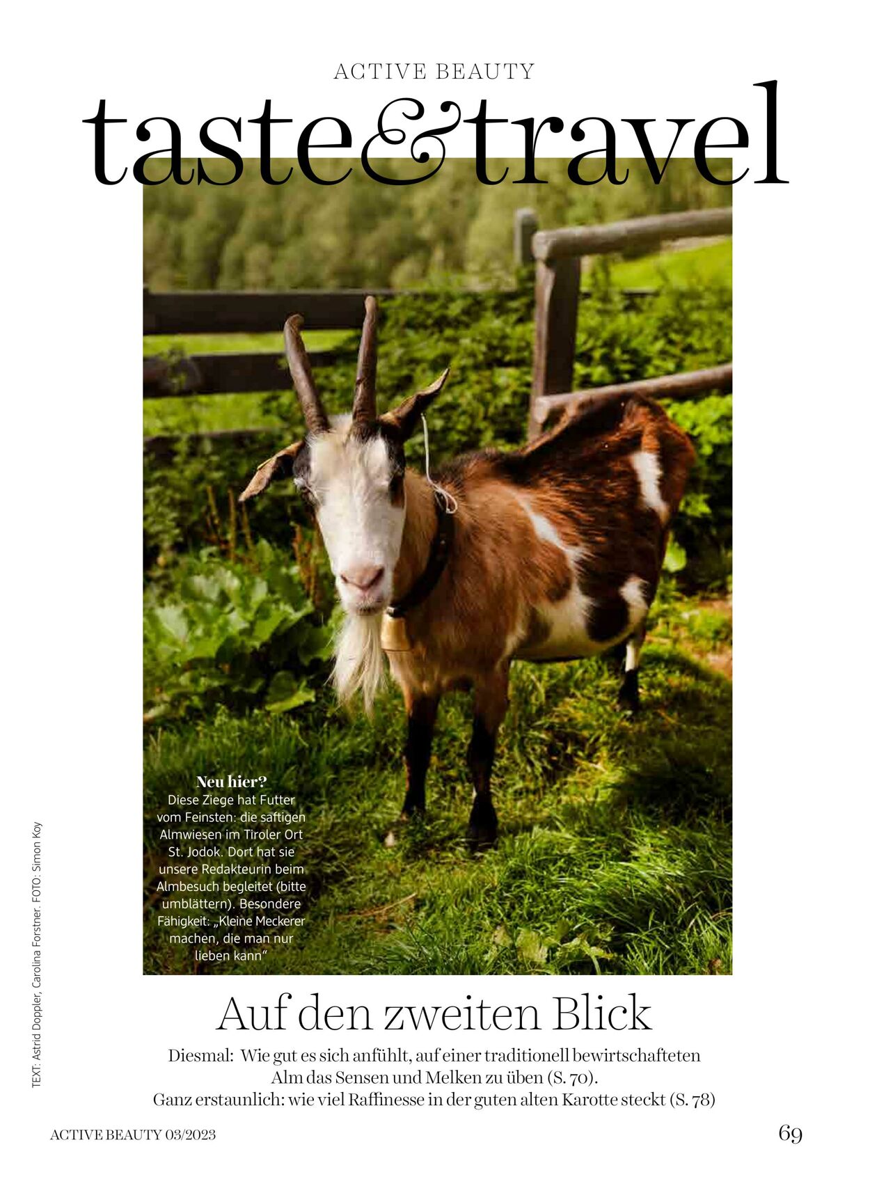 Prospekt DM Drogeriemarkt 01.03.2023 - 31.03.2023