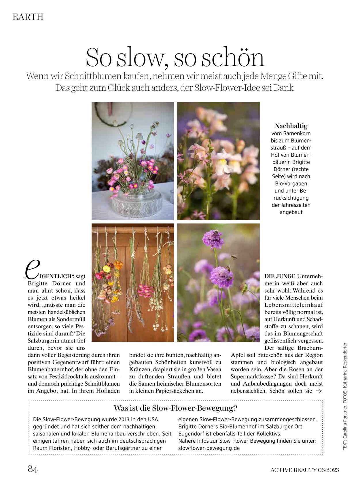 Prospekt DM Drogeriemarkt 01.03.2023 - 31.03.2023