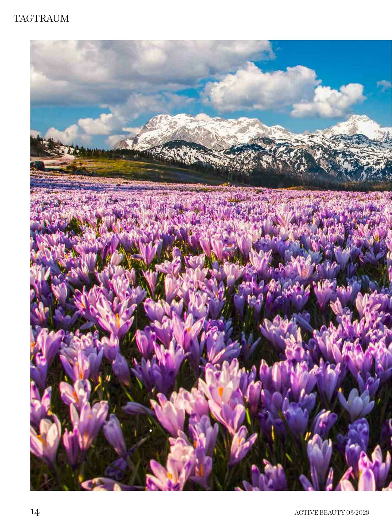 Prospekt DM Drogeriemarkt 01.03.2023 - 31.03.2023