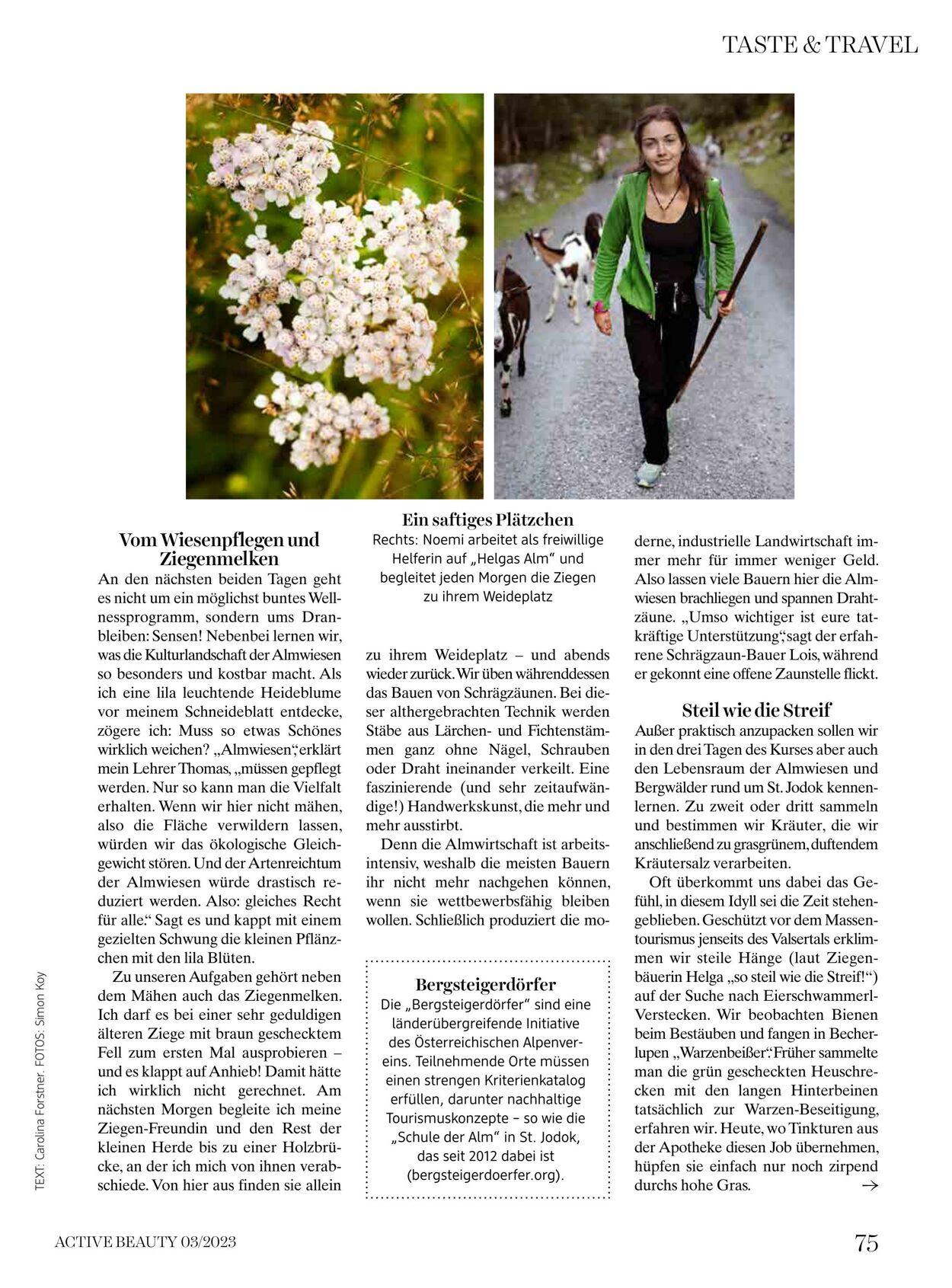 Prospekt DM Drogeriemarkt 01.03.2023 - 31.03.2023