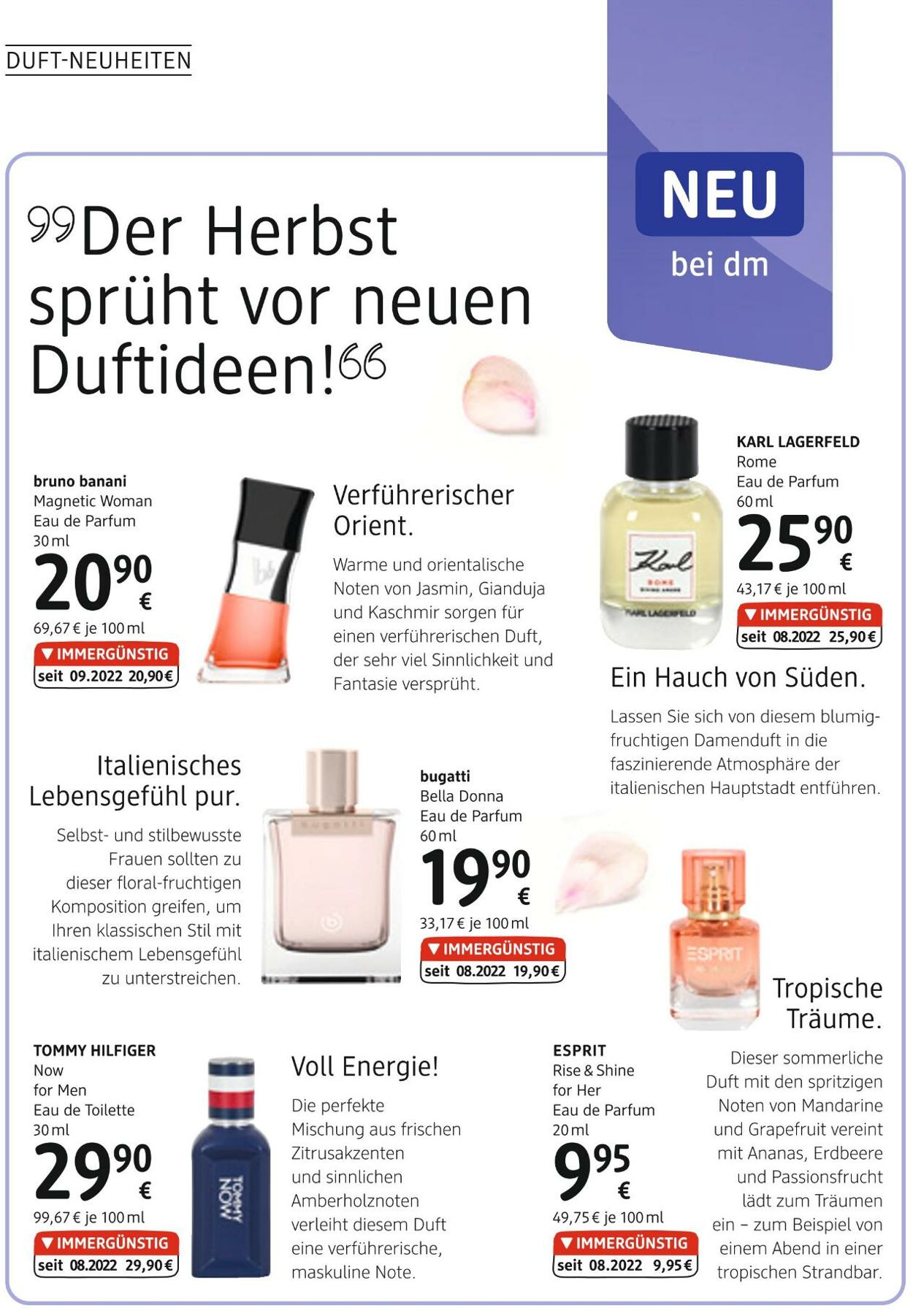 Prospekt DM Drogeriemarkt 13.10.2022 - 09.11.2022