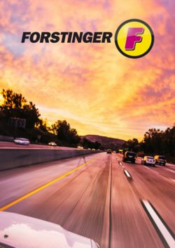 Prospekt Forstinger 22.07.2024 - 31.07.2024