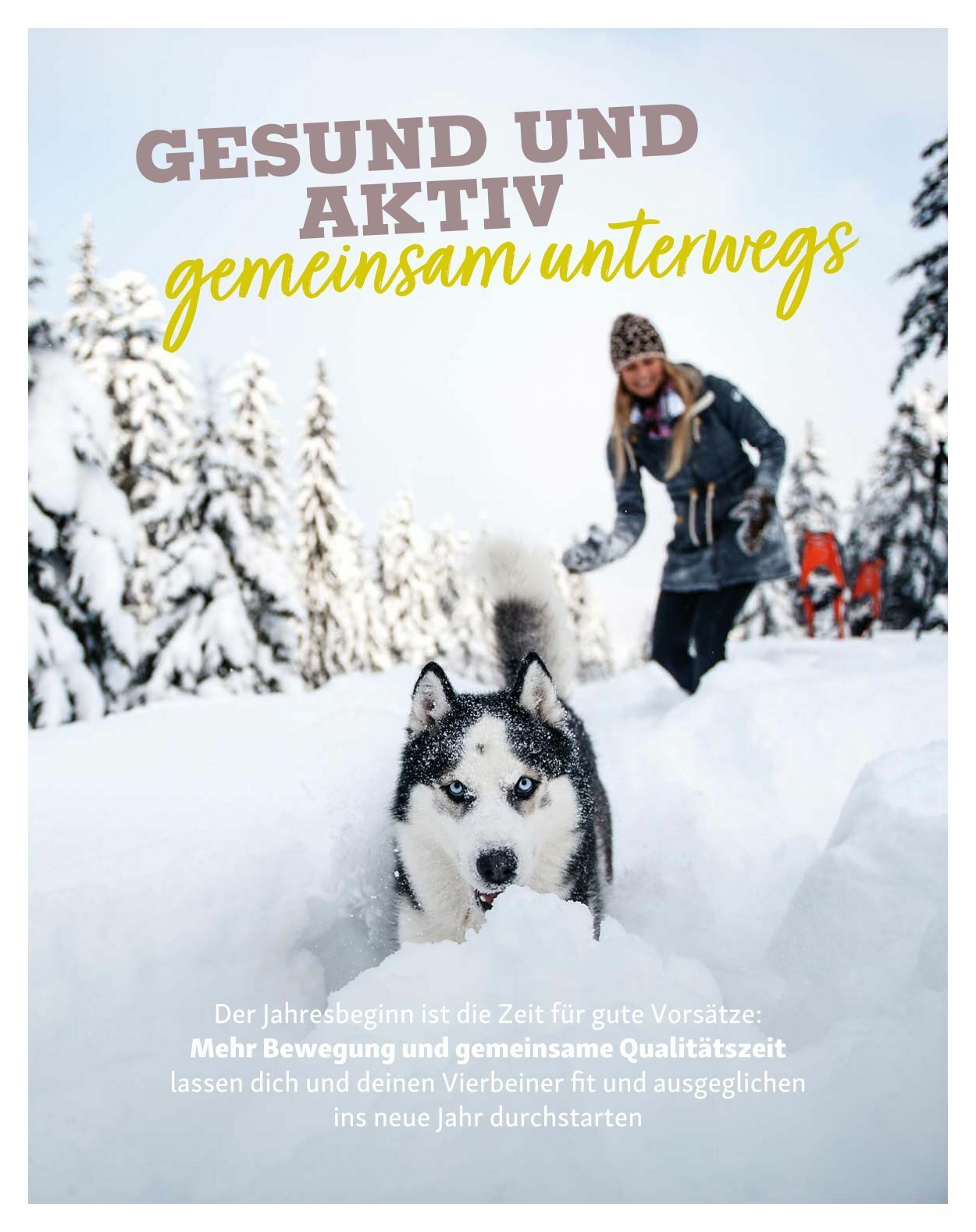 Prospekt Fressnapf 01.01.2023 - 28.02.2023