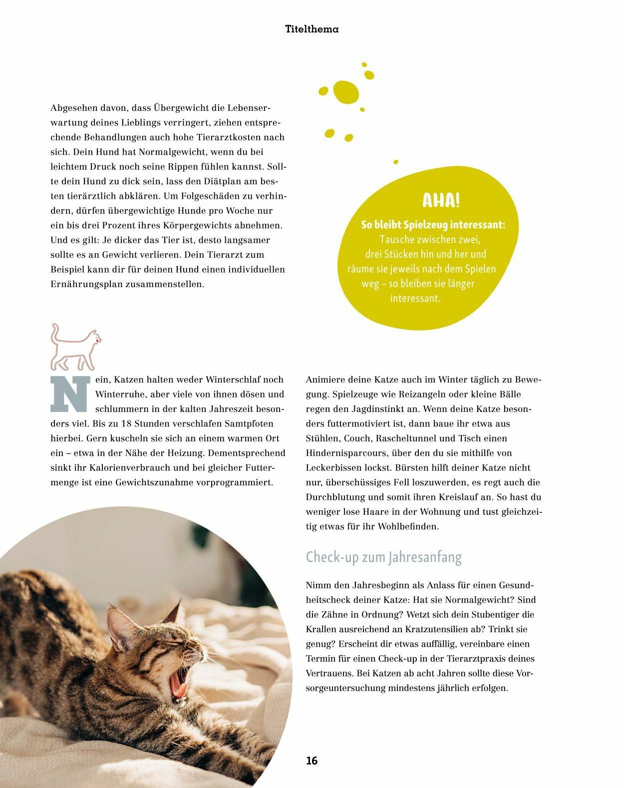 Prospekt Fressnapf 01.01.2023 - 28.02.2023