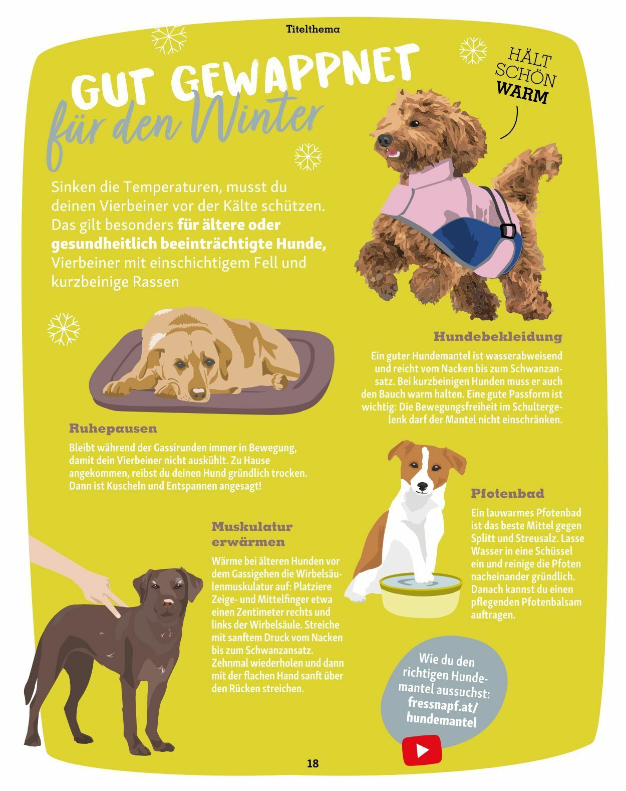 Prospekt Fressnapf 01.01.2023 - 28.02.2023