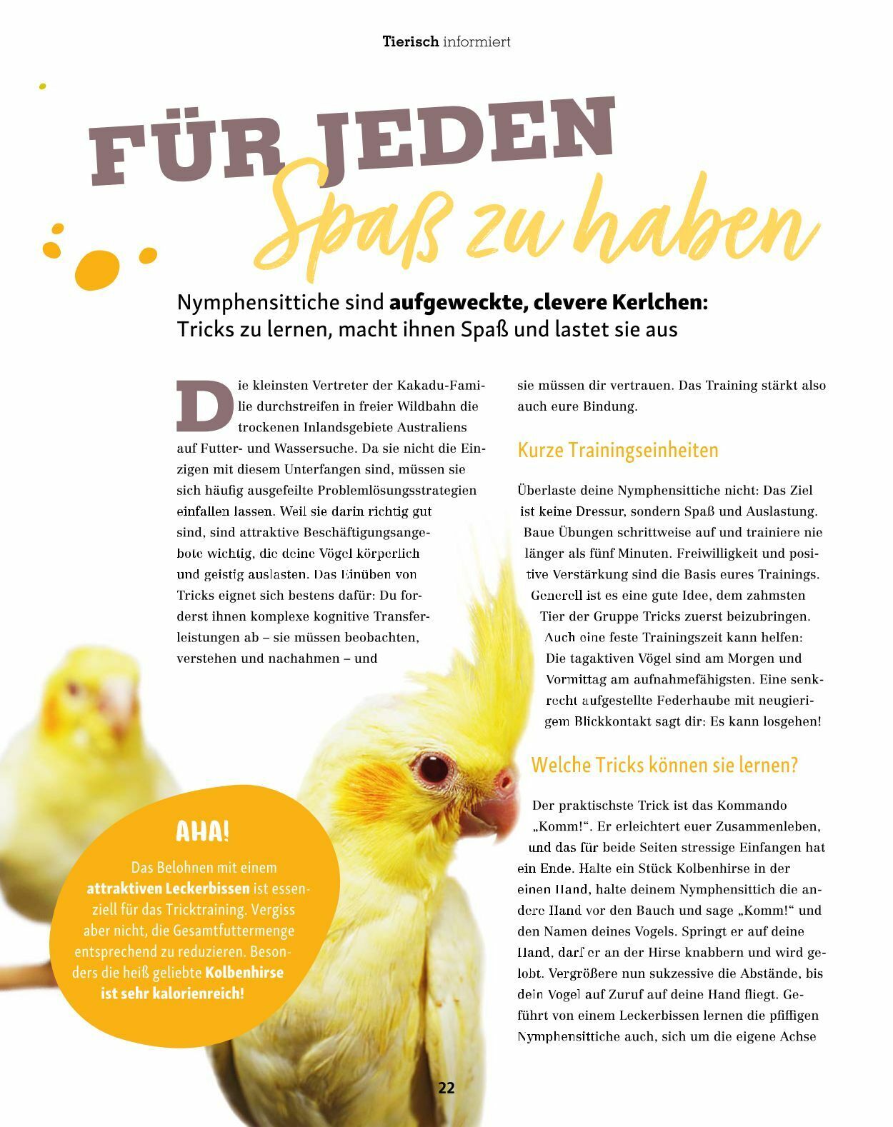 Prospekt Fressnapf 01.01.2023 - 28.02.2023