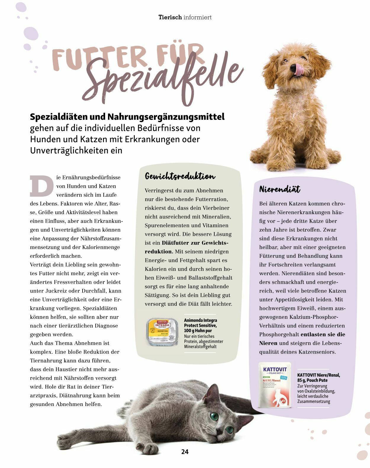 Prospekt Fressnapf 01.01.2023 - 28.02.2023