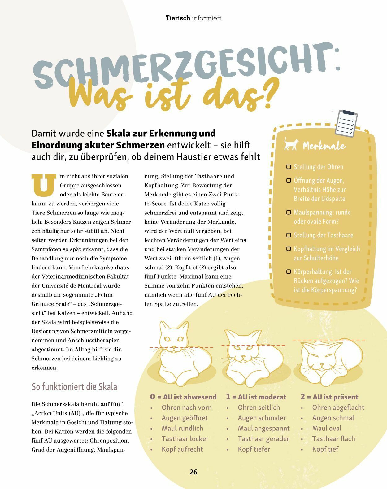 Prospekt Fressnapf 01.01.2023 - 28.02.2023