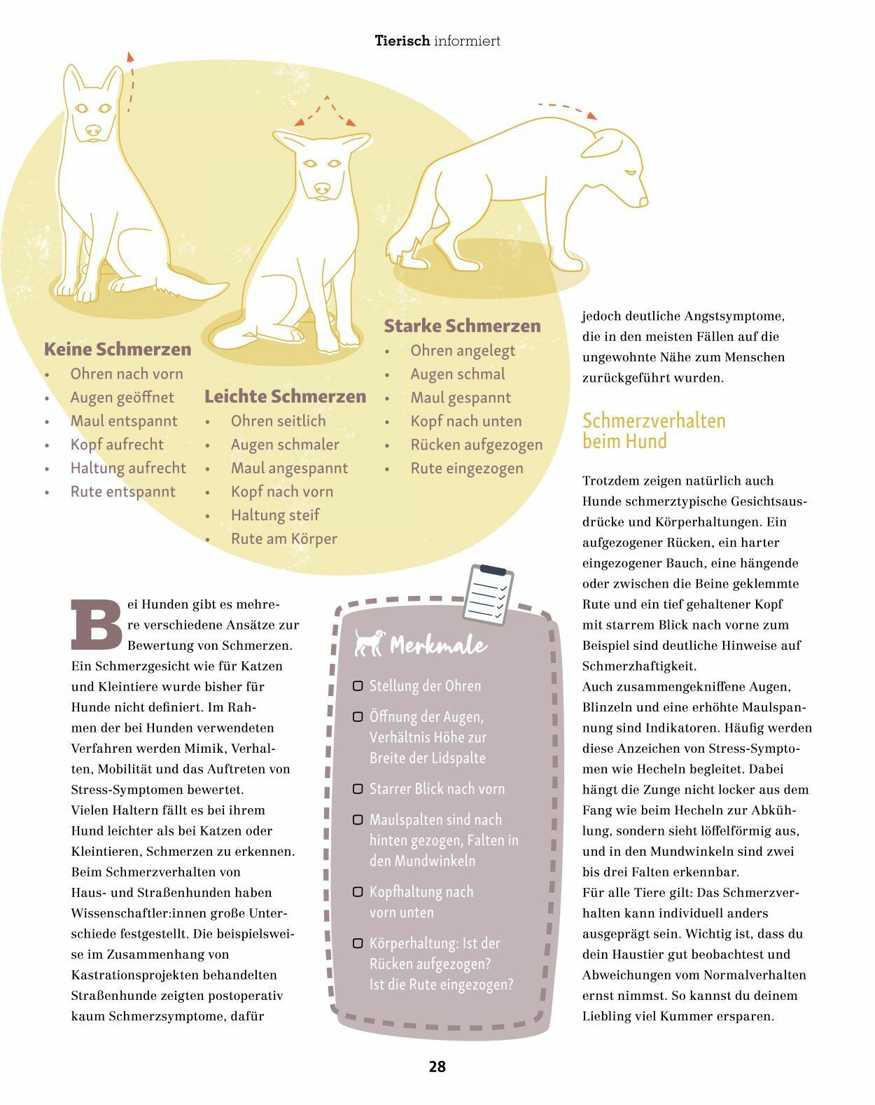 Prospekt Fressnapf 01.01.2023 - 28.02.2023