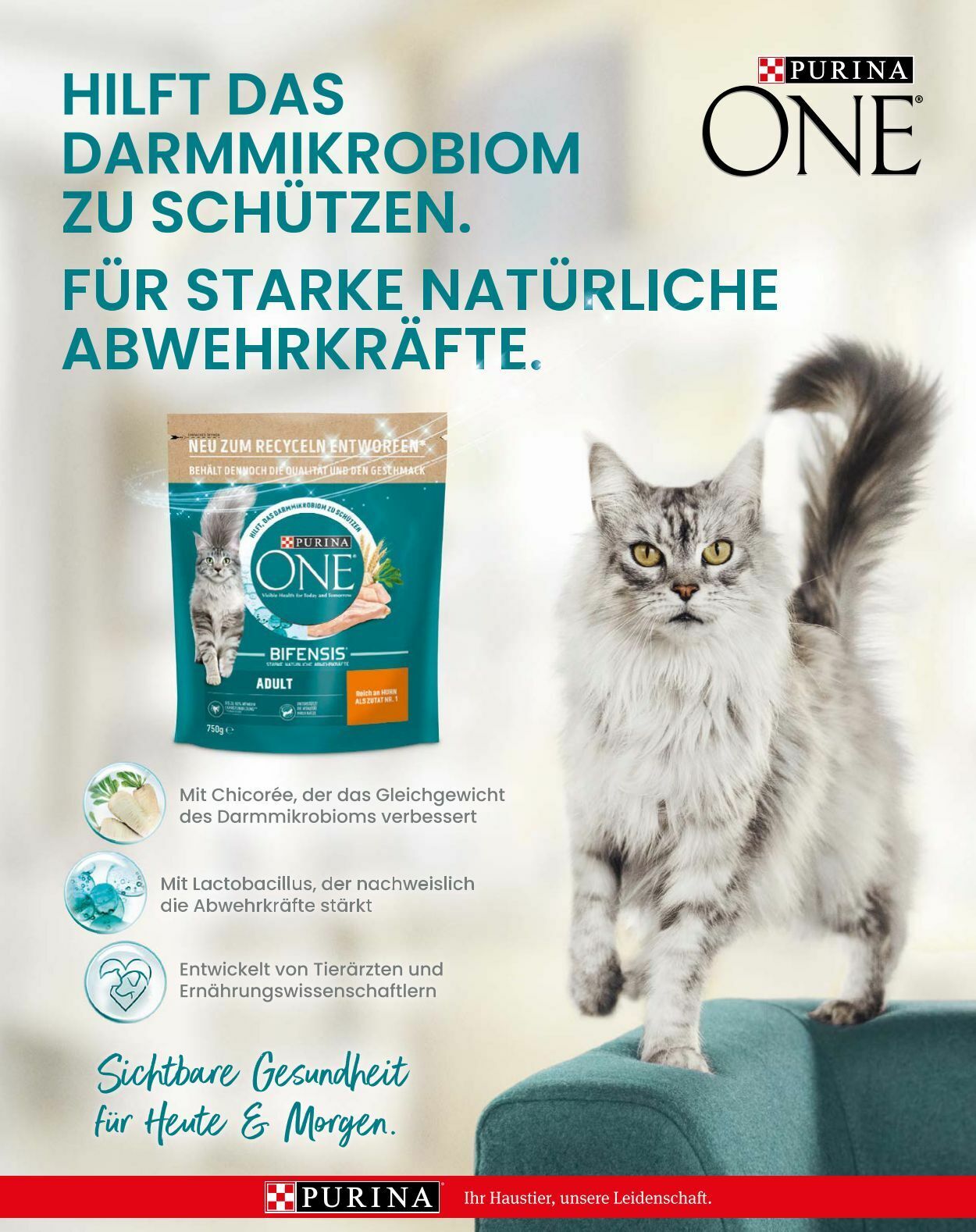 Prospekt Fressnapf 01.01.2023 - 28.02.2023