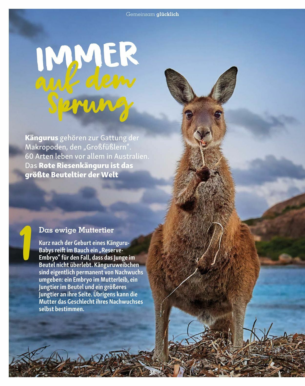 Prospekt Fressnapf 01.01.2023 - 28.02.2023