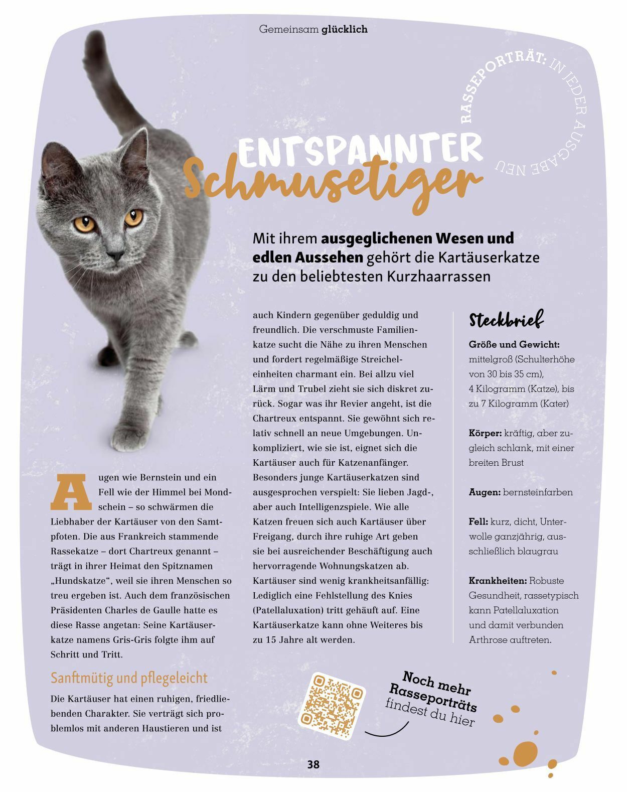 Prospekt Fressnapf 01.03.2023 - 30.04.2023