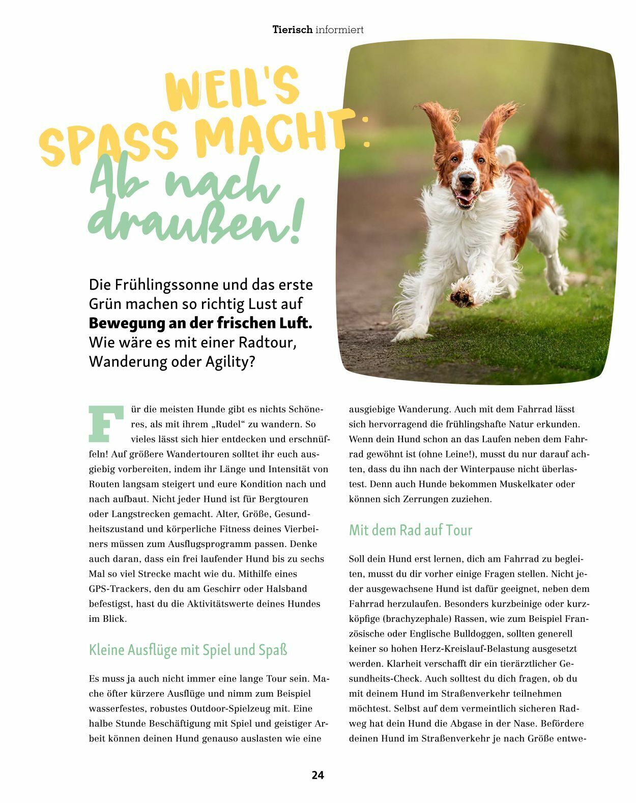 Prospekt Fressnapf 01.03.2023 - 30.04.2023