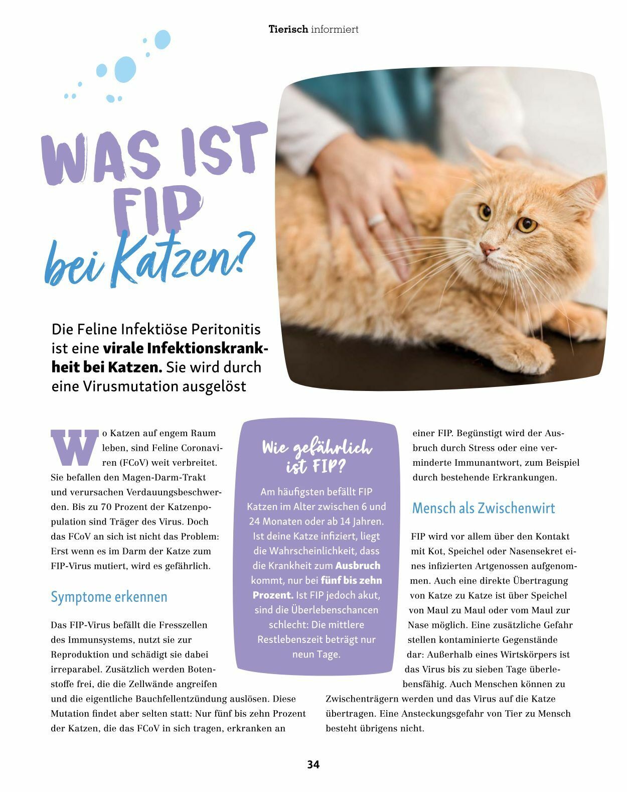 Prospekt Fressnapf 01.03.2023 - 30.04.2023