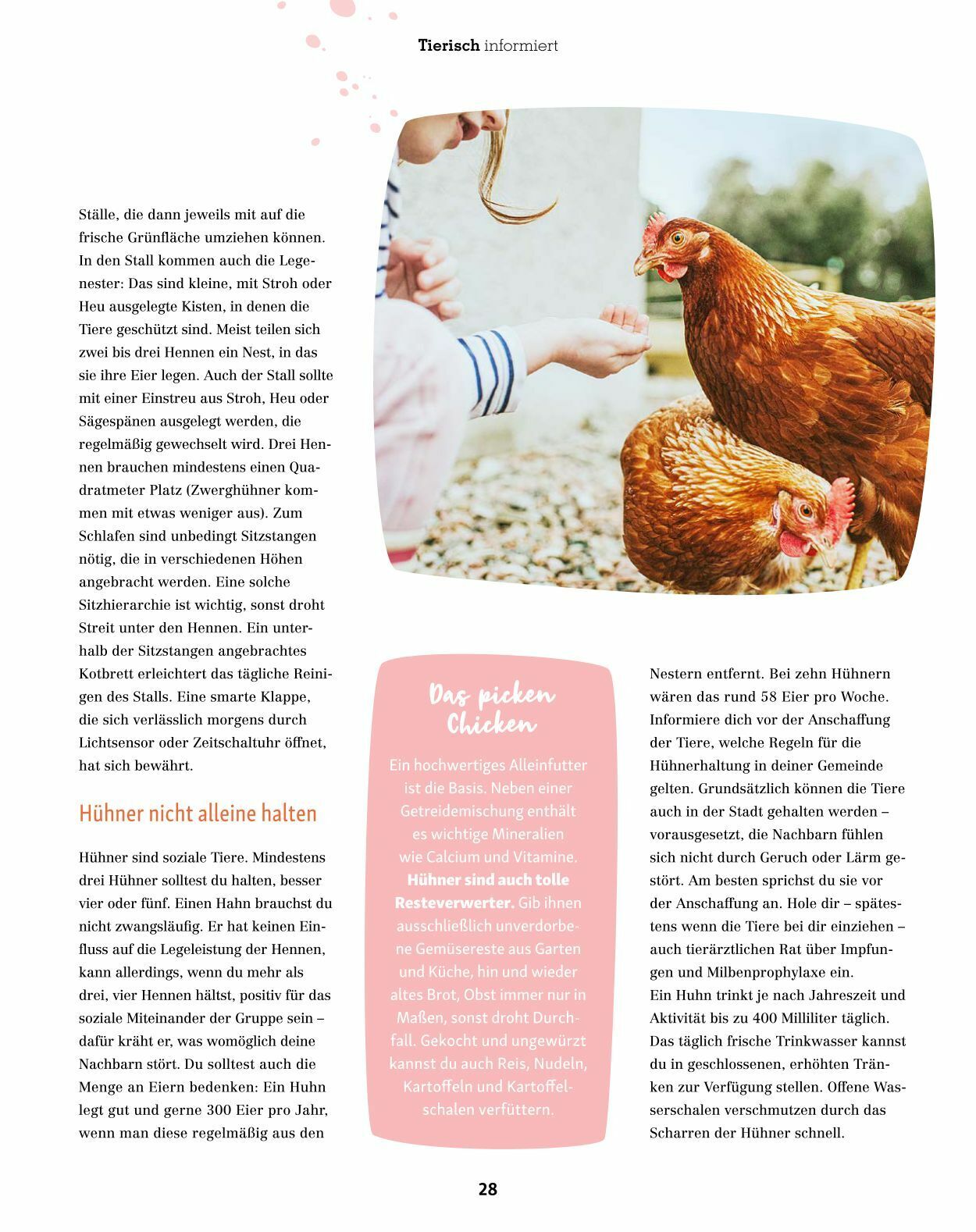 Prospekt Fressnapf 01.03.2023 - 30.04.2023