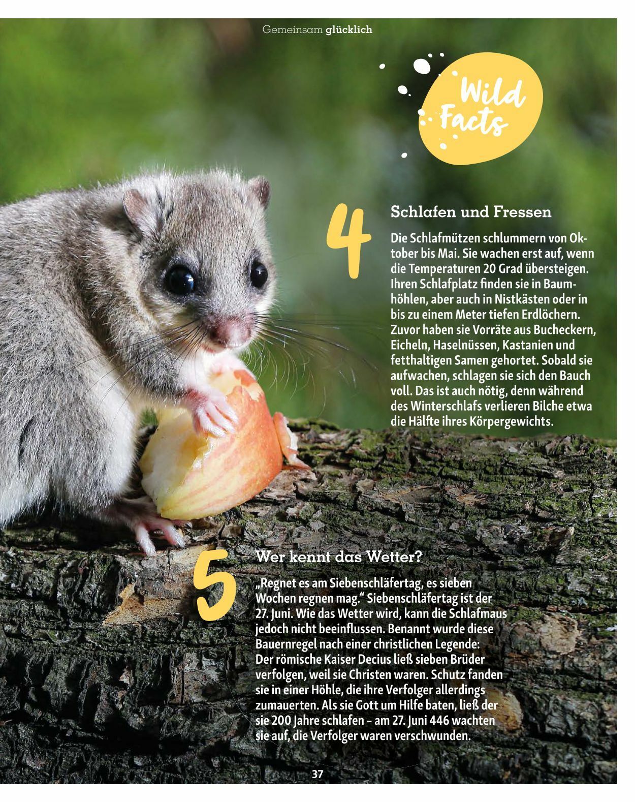 Prospekt Fressnapf 01.03.2023 - 30.04.2023