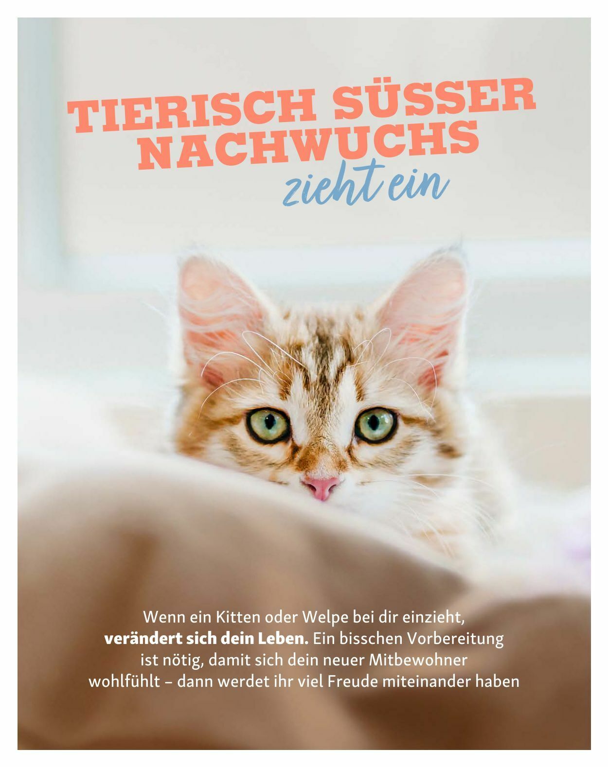 Prospekt Fressnapf 01.03.2023 - 30.04.2023
