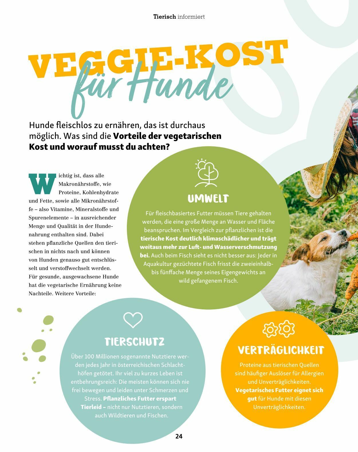 Prospekt Fressnapf 04.05.2023 - 30.06.2023