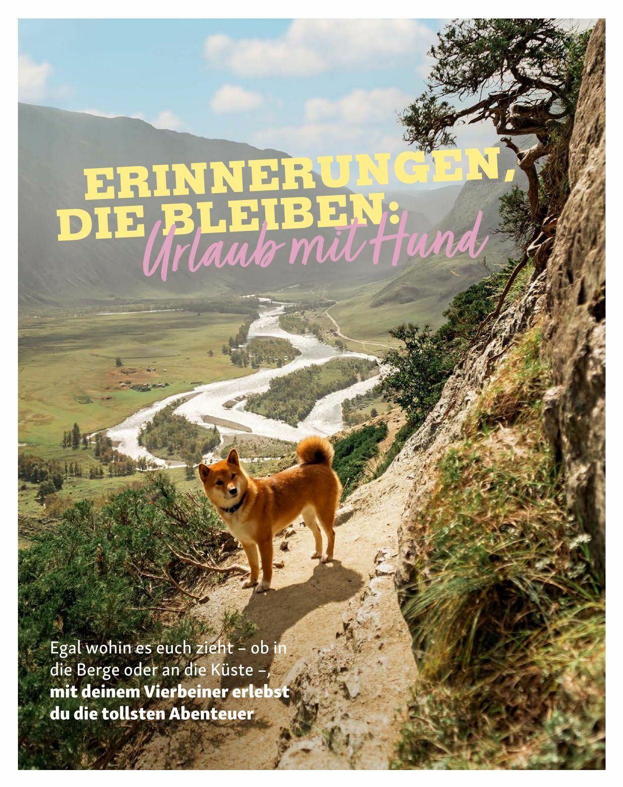 Prospekt Fressnapf 04.05.2023 - 30.06.2023