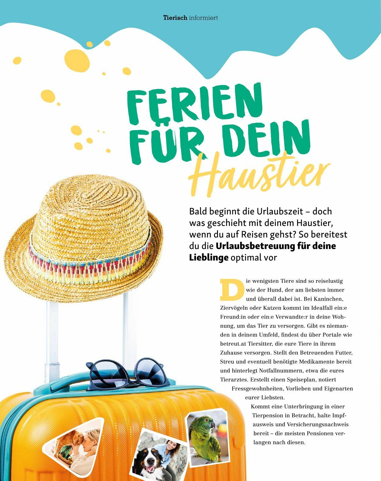 Prospekt Fressnapf 04.05.2023 - 30.06.2023